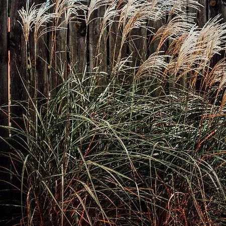 Hot伊拉尼亚酒店及水疗中心 4*